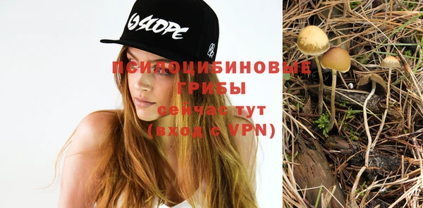 а пвп мука Володарск