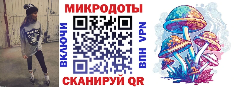 Галлюциногенные грибы Psilocybe Ейск